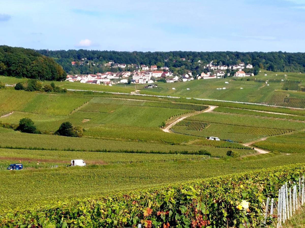 Epernay Capital De Champagne Apartment Екстериор снимка
