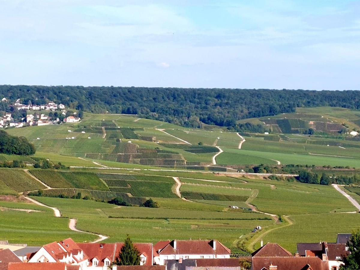 Epernay Capital De Champagne Apartment Екстериор снимка