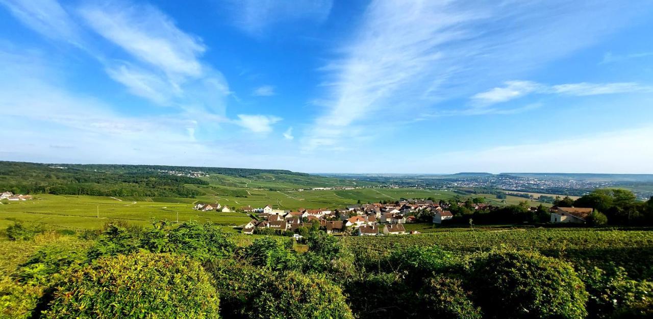 Epernay Capital De Champagne Apartment Екстериор снимка